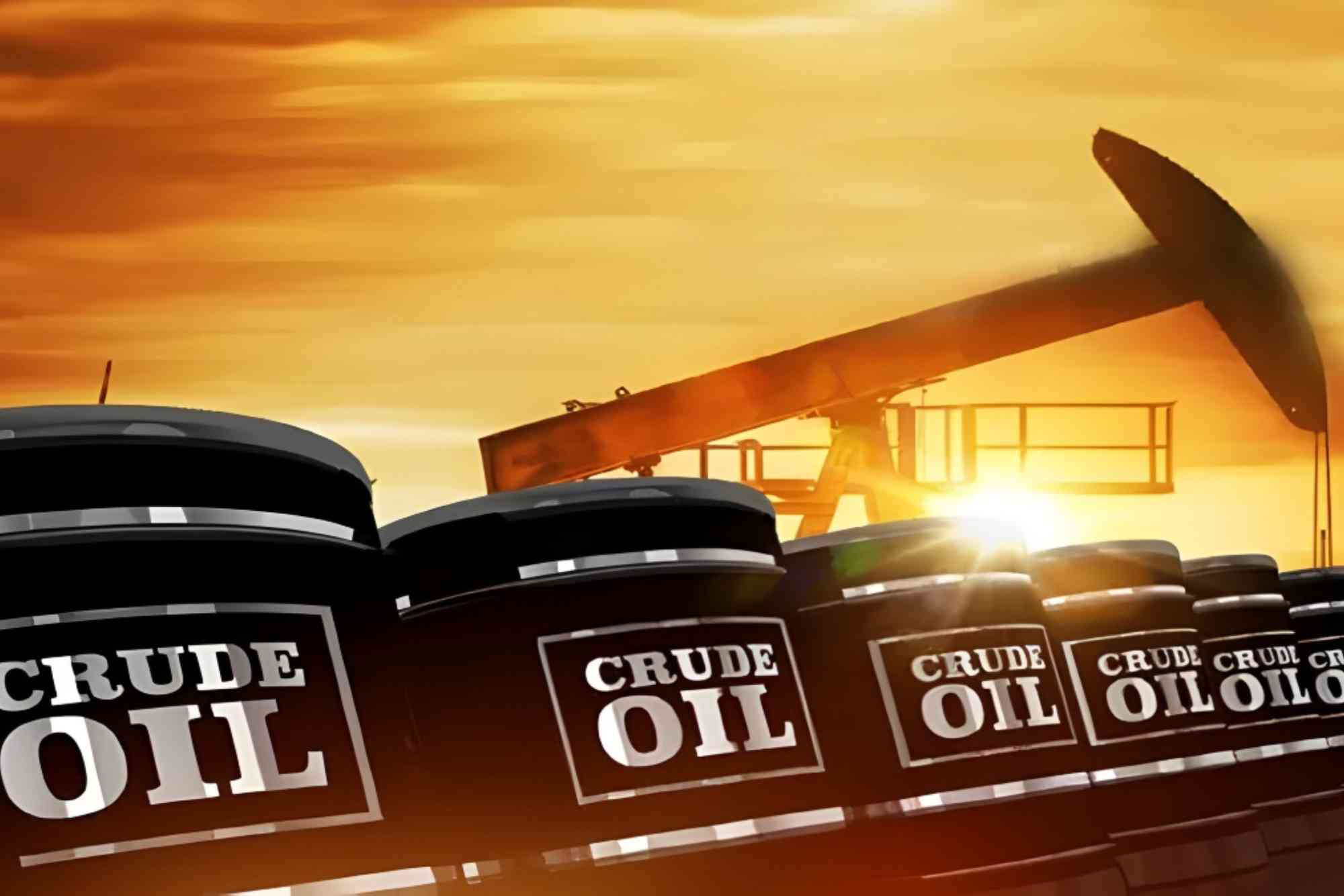 Hindustan Oil Exploration Company LTD Share Price