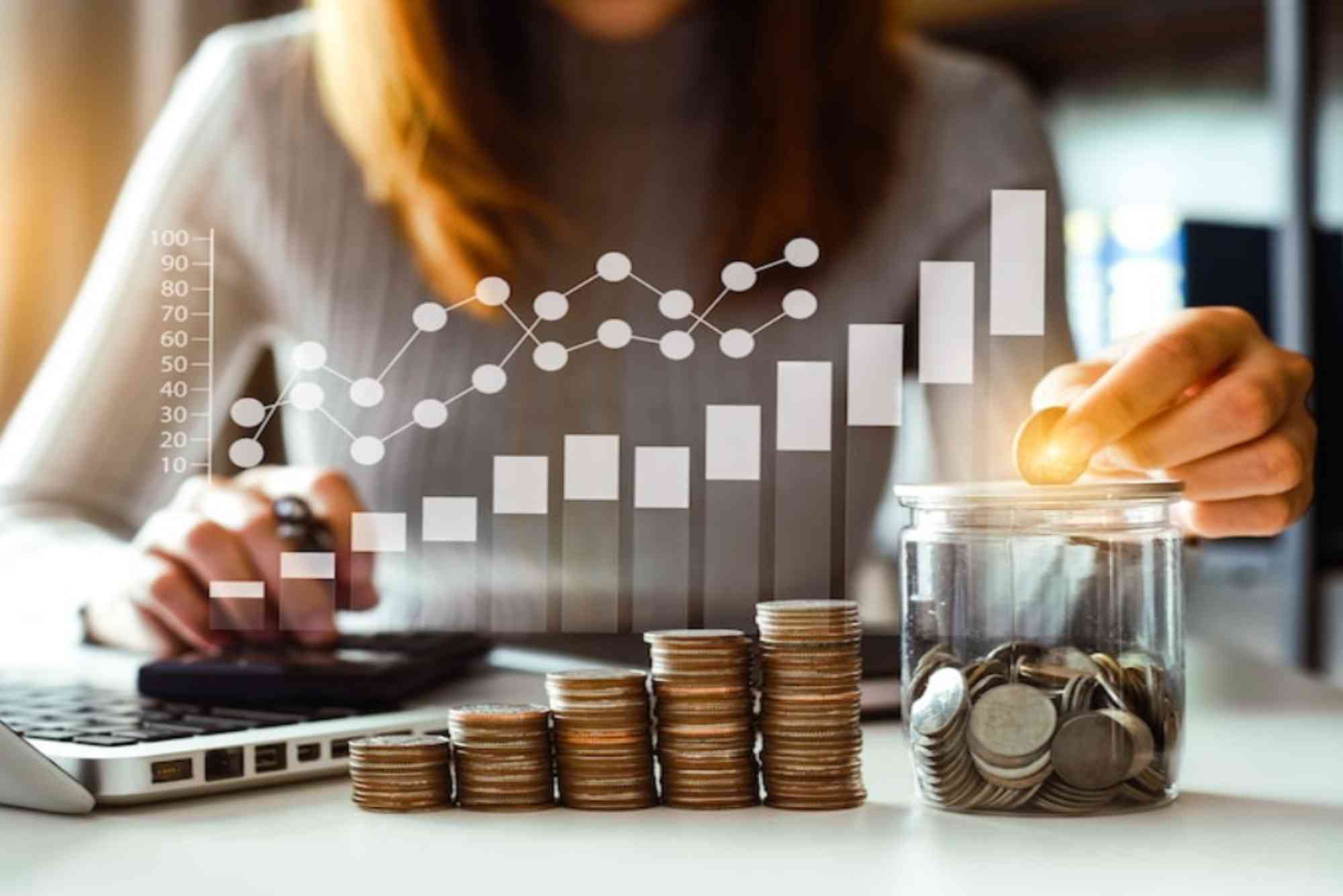 Investment Meaning In Hindi