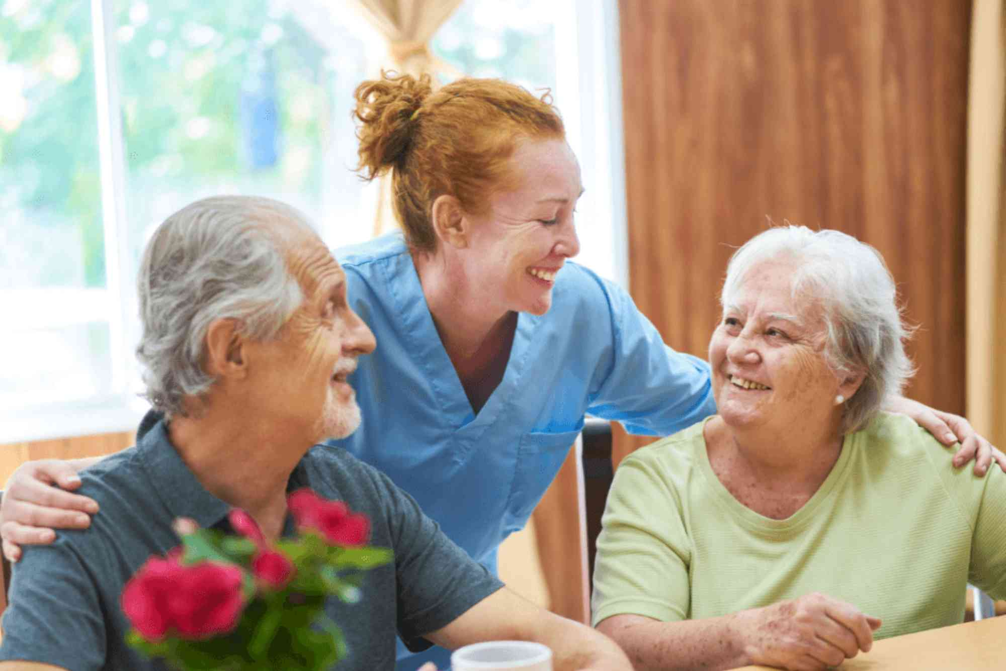 In Home Health Care Franchises